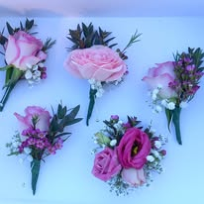 ivy&rose