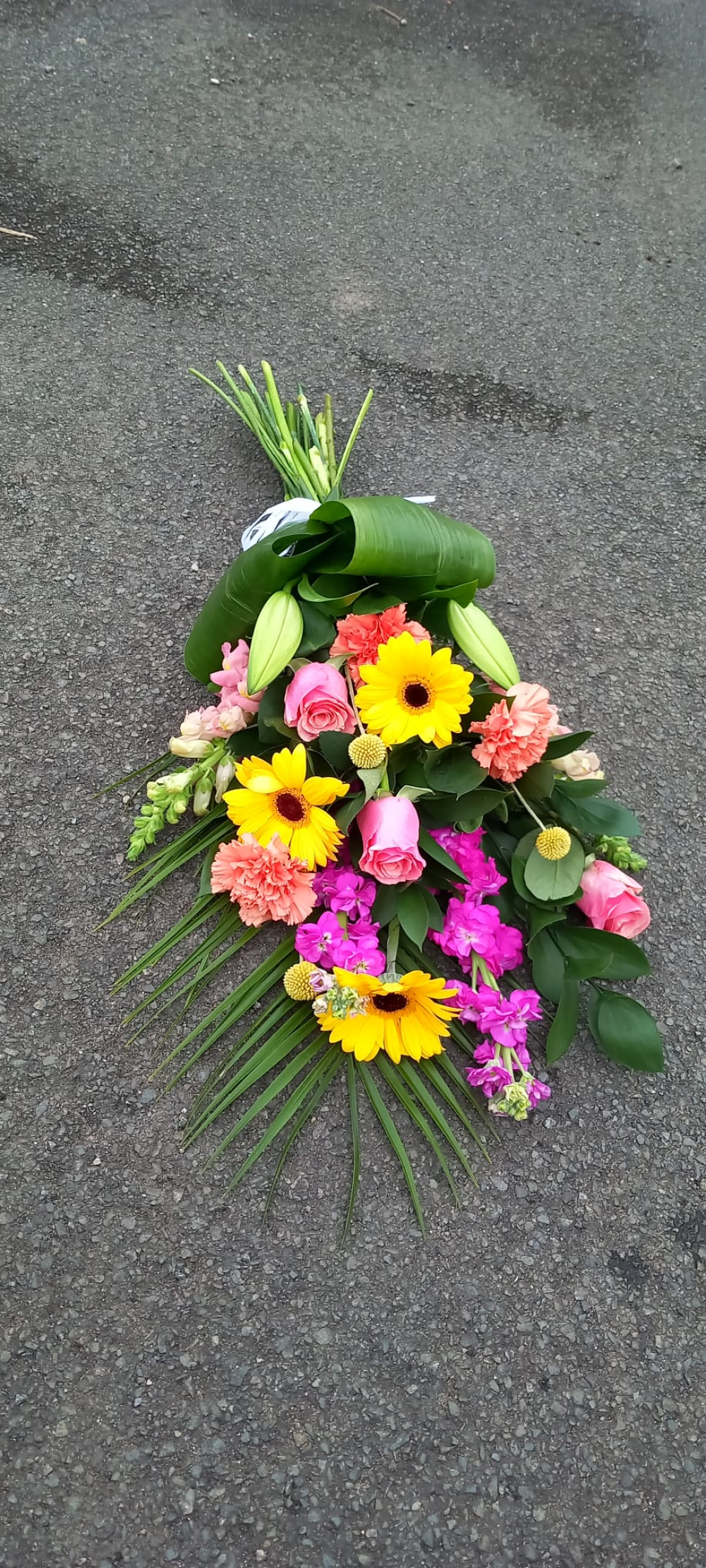 Vibrant Tied Sheaf